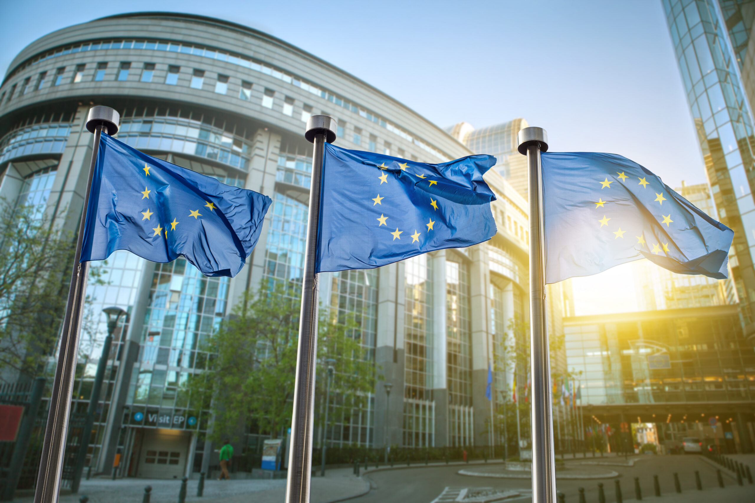 Zmiany w prawie e-commerce 2023, flaga UE